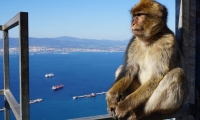 Tagesausflug nach Gibraltar mit Abfahrt von Tavira