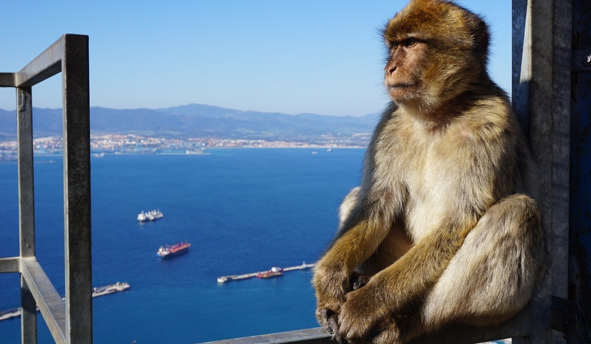 Tagesausflug nach Gibraltar mit Abfahrt von Faro